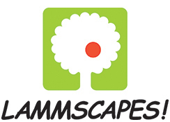 LAMMSCAPES logo